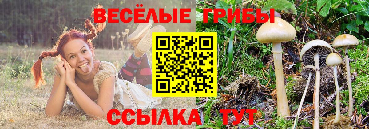 Галлюциногенные грибы Magic Shrooms  Вход с VPN  Янаул  Галлюциногенные грибы ЛСД 